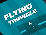 Flying Triangle 2021